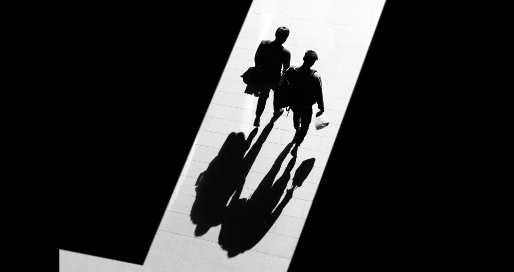 Le fantasme du jumeau au point de vue onto- et phylogénétique